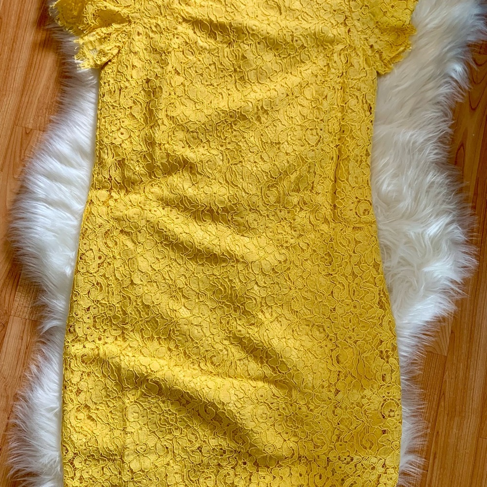 Zara lace dress